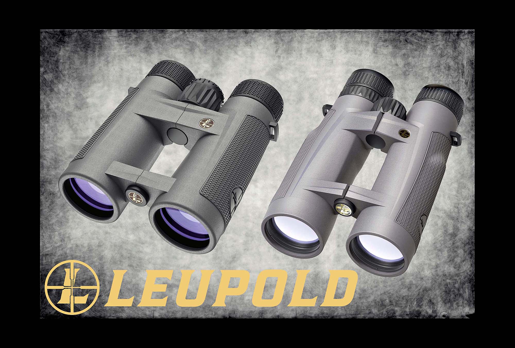 Leupold bx-5 santiam hd 10x42 review