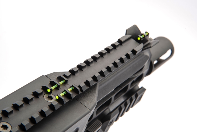 La Chiappa CBR-9 Black Rhino è equipaggiata con un set di mire "di base" in fibra ottica