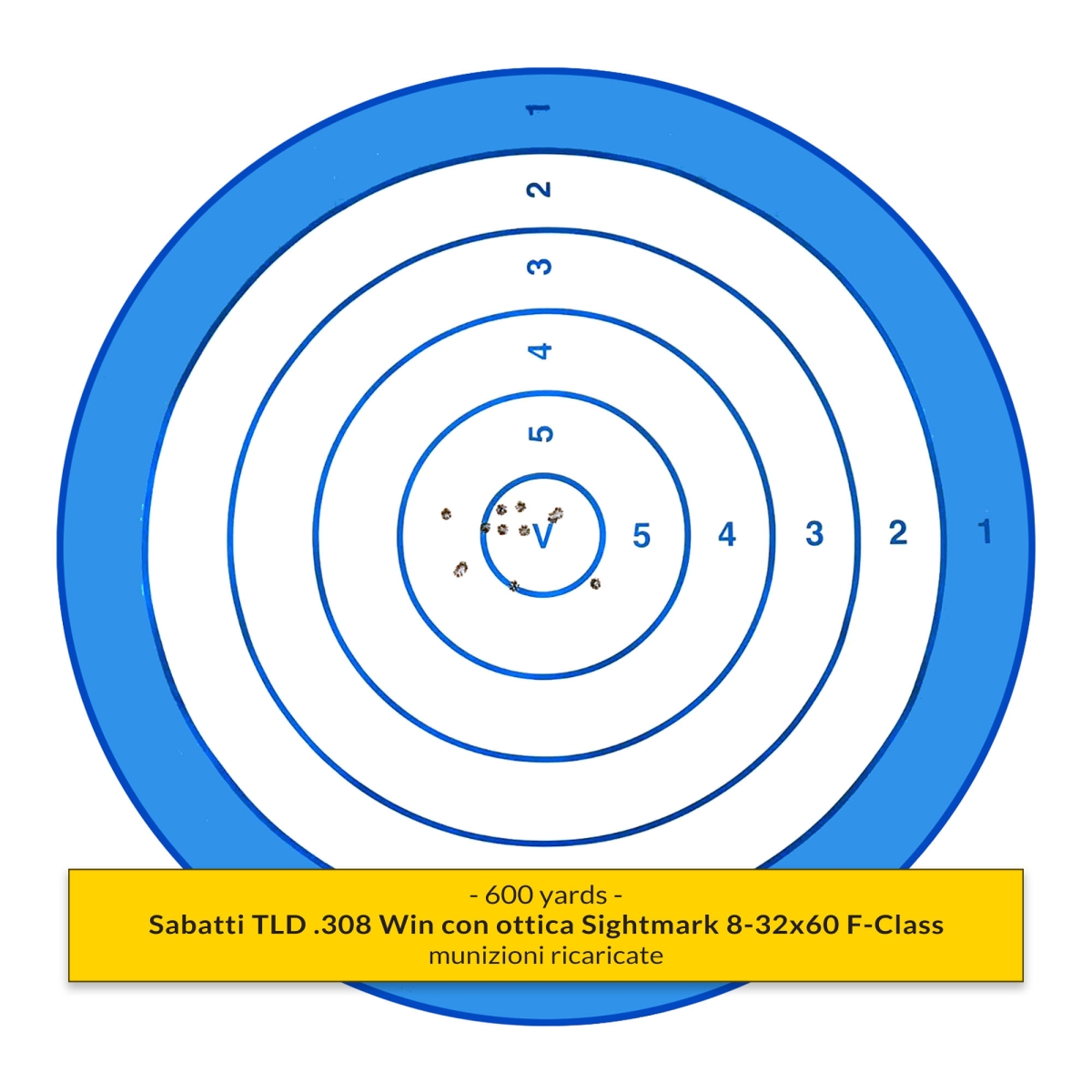 600 yards group by our shooter Carlo Boccini with Sightmark Latitude 8-32x60 F-Class rifle scope (see opening picture)