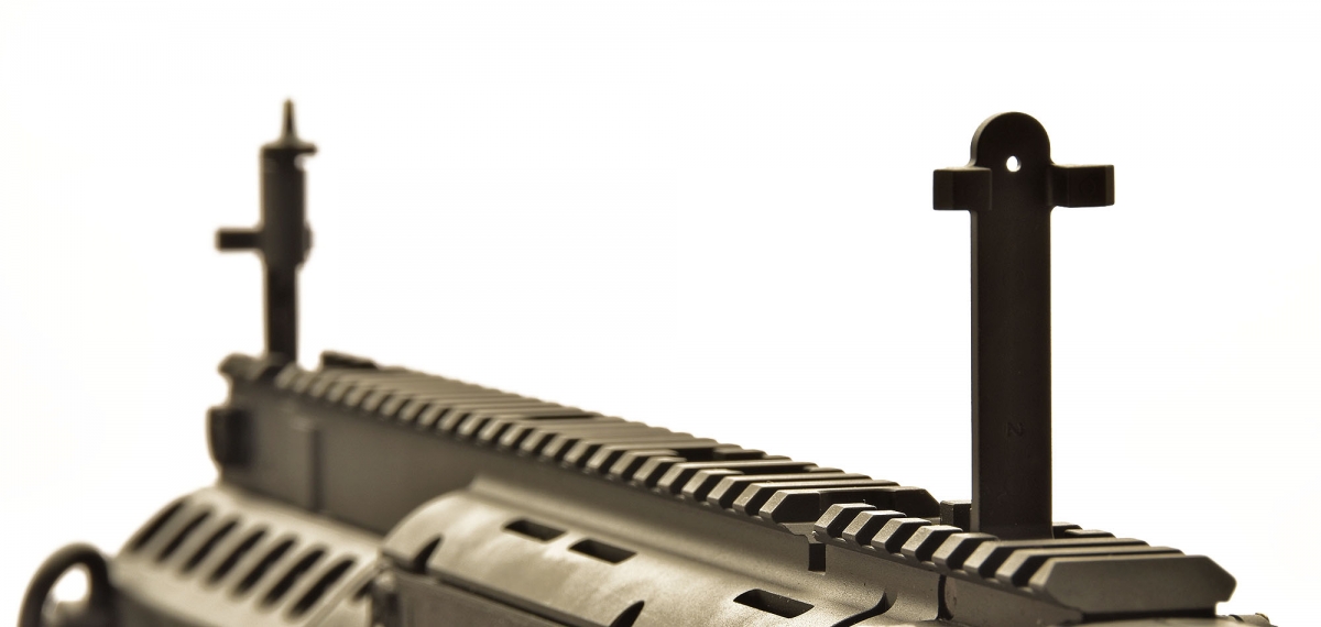 The X95 comes issued with back-up iron sights that fold down within the top Picatinny rail