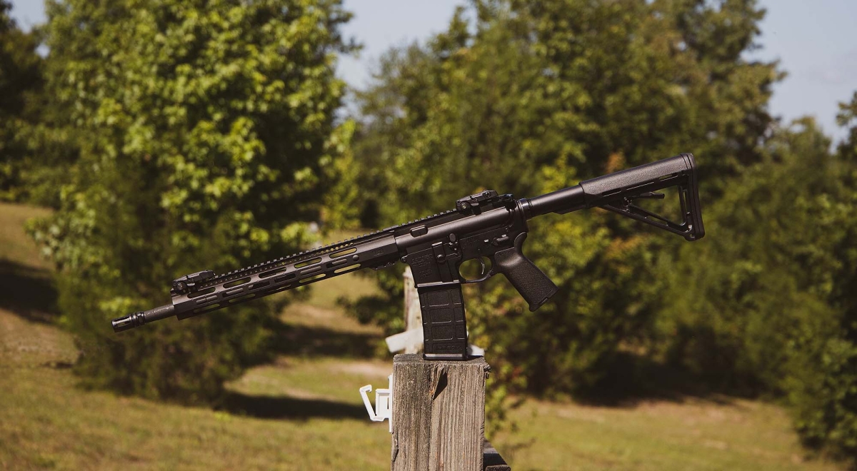 DPMS DR-15 e DR-10: i nuovi &quot;Black Rifles&quot; per il 2025