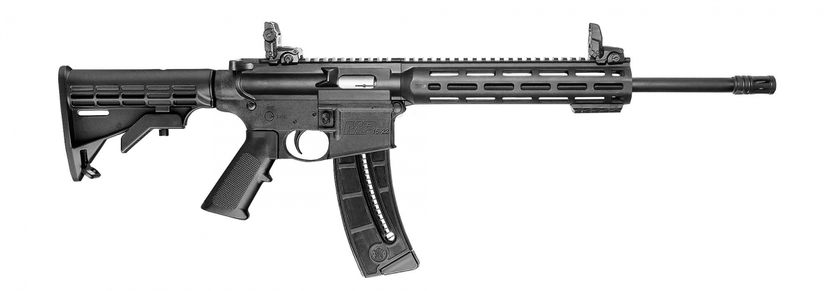 Un modello standard di carabina Smith & Wesson M&P 15-22 SPORT