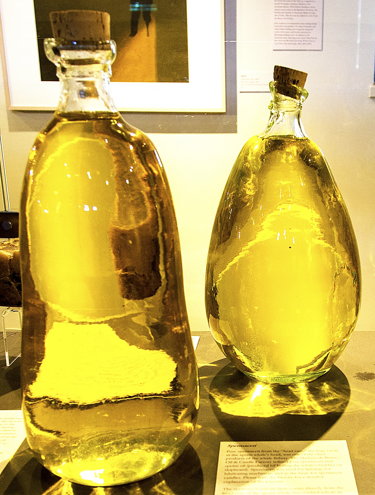 Bottiglie di olio di capodoglio estratto da un capodoglio spiaggiato nel 1998 e conservate al museo dei balenieri di Nantucket