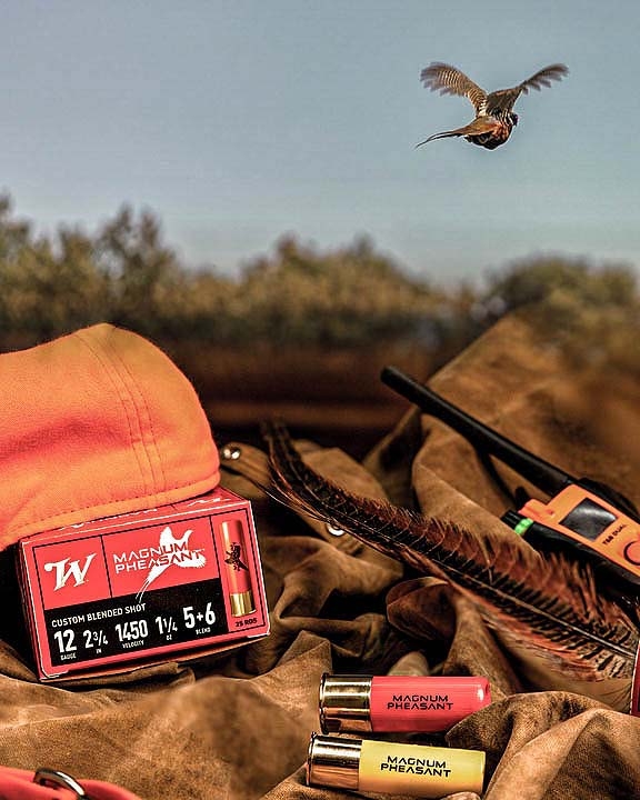 Winchester Magnum Pheasant, the all new hunting shotshells