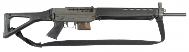 Proibite anche tutte le varianti del fucile SIG SG-550 / PE-90