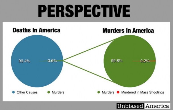Le cose viste dalla giusta prospettiva: quante persone all'anno muoiono negli USA nelle famose "stragi delle armi"?