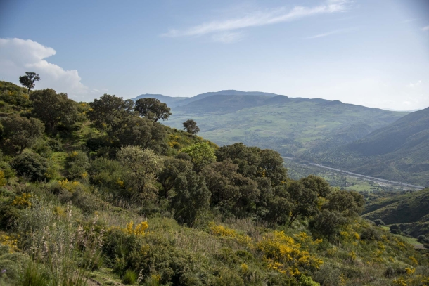 Benvenuti al Sud: in Sicilia per un corso di tiro di precisione con carabina Benvenuti al Sud: in Sicilia per un corso di tiro di precisione con carabina