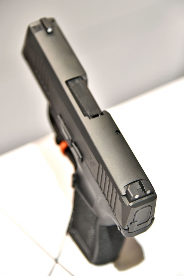 SIG Sauer P365 pistol