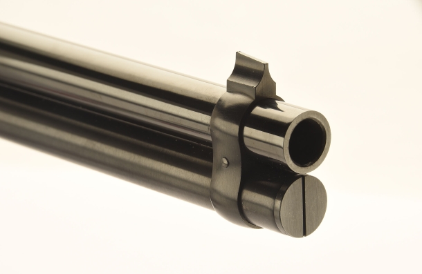 Muzzle view of the front sight