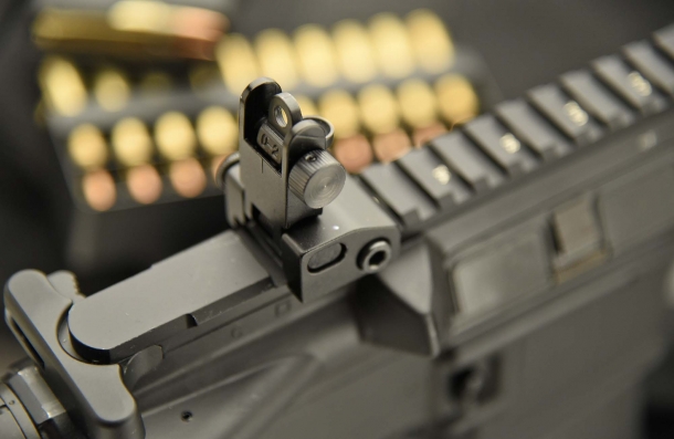 The flip-up adjustable rear sight, rised up