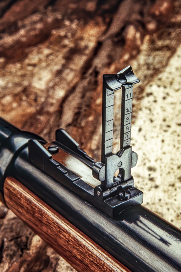 Springfield 1873 “Trapdoor”