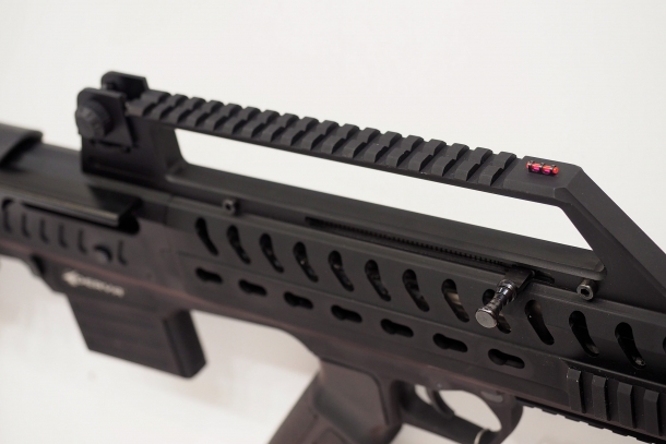 The raised Picatinny rail also hosts the front and rear sights