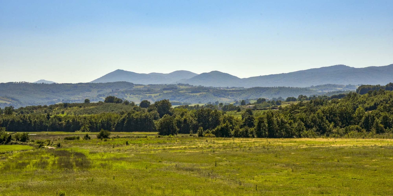 La ZAC "Monnerino" si trova a Faicchio (Bebevento), immersa all'interno di uno dei paesaggi di campagne  più belli d'Italia