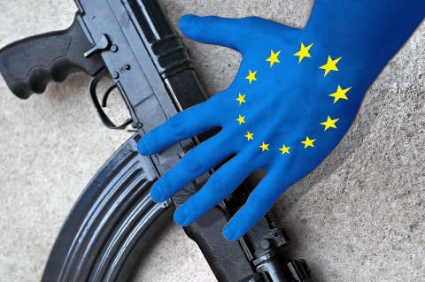 The EU Gun Ban is approved without amendments