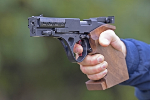 Chiappa Firearms - Pistola FAS SP 6007