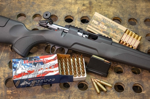 .222 and .223 Remington are back!