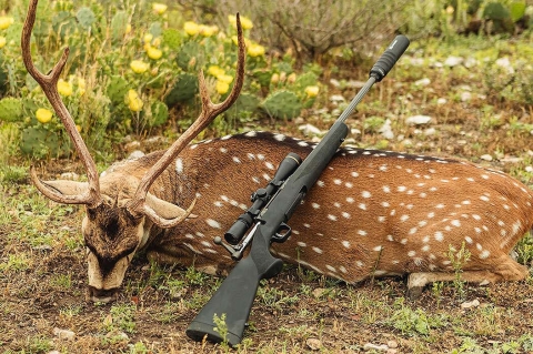 Savage Arms 110 Trail Hunter Lite, a new lightweight bolt-action hunting rifle